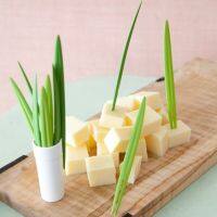 10pcs Bamboo Leaf Fruit Fork with Holder Plastic Green Plant Cake Dessert Sandwich Salad Food Picks Lunch Bento Accessories