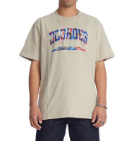 DC Shoes เสื้อยืด MENS STACKED DRIP HERITAGE T-SHIRT 231 ADYZT05158-TZK0