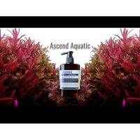 ?ส่งด่วน? Ascend Absolute Plus​ 200ml​ ปุ๋ยน้ำเข้มข้น สำหรับตู้ไม้น้ำอุดมไปด้วยธาตุหลัก   ตู้ปลา ปั๊มน้ำ  ปั๊มลมwpd1.5611⚡พร้อมส่งทันที⚡