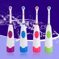 ZZOOI Electric Toothbrush + 2 Replaceable Brush Heads IPX7 Waterproof Automatic Ultrasonic Household Oral Care Tooth Cleaning Brush