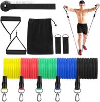 【hot】❆❣  Pcs Resistance Bands Set Crossfit Training Exercise Tubes Pull Rope Rubber Expander Elastic with Carry