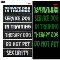 ✒﹍ↂ Night Luminous Hook Loop Patches for Service Dogs Vest Collar In Training Sign Embroidery Badges Security Cloth Sticker 2pcs Set