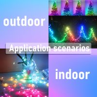 ZZOOI 5m 10m 20m Fairy Led Lights USB Dream Color Smart String Light Remote APP Controller for Room Wedding Christmas Tree Decoration