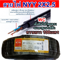 GOAL สายไฟ NYY สายไฟฝั่งดิน หุ้มฉนวน 3ชั้น เบอร์ 2x2.5 ความยาว 100เมตร สายไฟฝั่งดิน และใช้งานไฟฟ้า มิเตอร์ เบรกเกอร์ มอก มาตรฐานไฟฟ้า