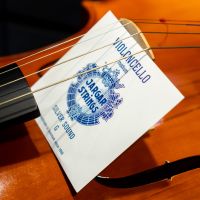 JARGAR CELLO STRING G SILVER SOUND