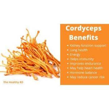 เห็ดถั่งเช่าสีทองออร์แกนิก-fermented-cordyceps-1000-mg-60-vegcaps-solaray-ถั่งเฉ้า-ถังเช่า