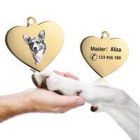 2pcs/lot ID Tag Set Pet Name Pendant Free Engraving Stainless Steel Pet Charm Key Pendant Personalized Dog Cat Collar Accessory