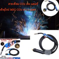 【 การจัดส่งในกรุงเทพฯ จัดส่งใน 24 ชั่วโมง】สายเชื่อม CO2 200 แอมป์ปลายยุโรป MIG CO2 ยาว 5 เมตร