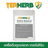 เหยื่อดึงดูดปลวก ผงล่อปลวก ปริมาณ 25 กรัม TERHERB