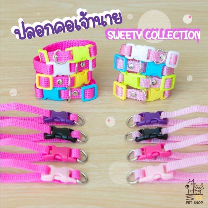 ปลอกคอแมว-ปลอกคอลูกแมว-แมวเด็ก-มี-2-ไซส์-สีสันสดใส-พร้อมส่งในไทยค่า-sweety-collection