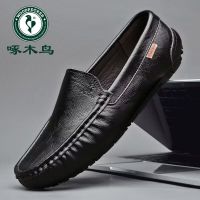 High-end Original Woodpecker Mens Shoes 2023 Autumn New Genuine Leather Peaches Mens Breathable Casual Leather Shoes Mens Soft Leather Soft Sole