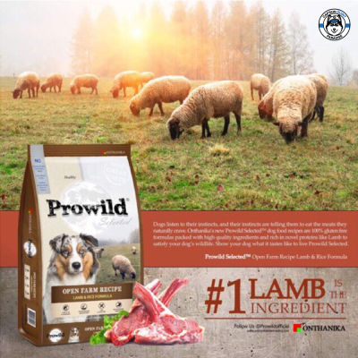 Prowild โปรไวลด์ โอเพ่น ฟาร์ม สูตรเนื้อแกะ อาหารสุนัขทุกสายพันธุ์และทุกช่วงวัย