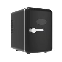 Portable 12V Car Refrigerator 220V Home Freezer Heater 6L Capacity Mini Auto Cooler Warmer Dual-use Fridge Travel Icebox
