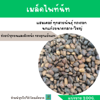 เมล็ดไพท์นัท (แบ่งขาย 200G.) สำหรับแฮมเตอร์ ทุกสายพันธุ์ กระรอก นกแก้วขนาดกลาง-ใหญ่