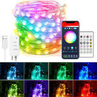 App Led พู่ห้อยพวงมาลัยเรืองแสงสตริงแสง Dreamcolor นางฟ้ากระพริบตาไฟระยะไกล RGB หิ่งห้อยไฟสำหรับปาร์ตี้วันหยุดตกแต่ง