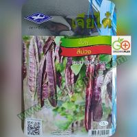 ถั่วพู สีม่วง Purple Winged Bean เจียไต๋