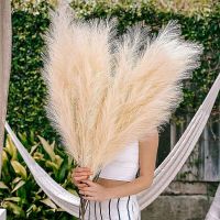 1Pcs Artificial Pampas Grass Home Decor Fake Plant Simulation Reed Flower Bouquet DIY Wedding Decoration Birthday Party Supplies Artificial Flowers  P