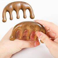 【YF】✗✐  Massage Comb Hair Ropes Set Rubber Band Blood Circulation Wood Sandal Scalp Relax Styling