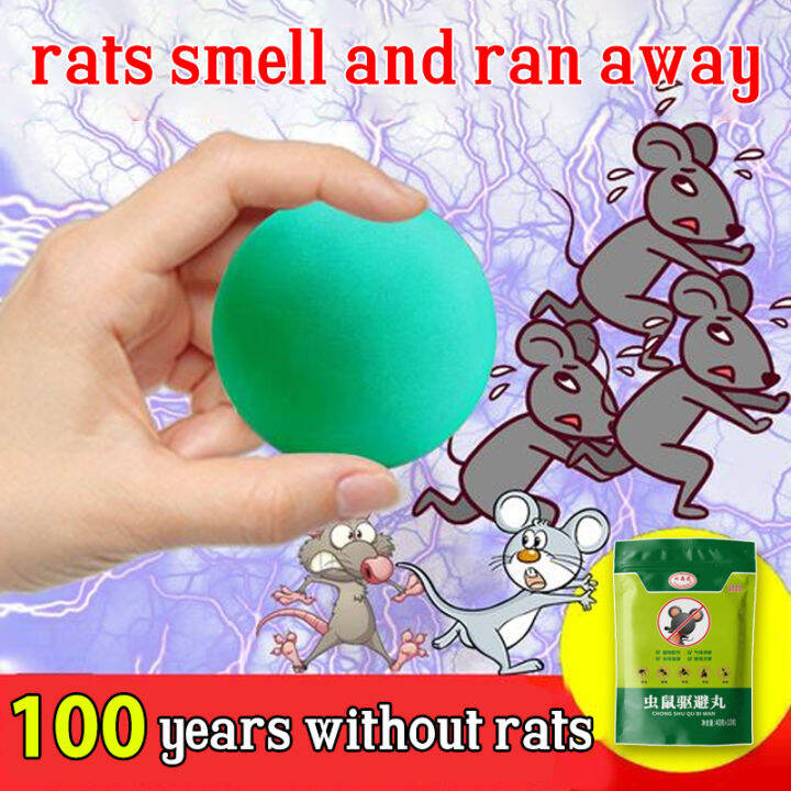 SAN Rat poison killer Rat repellant for home 8 capsules, easy to use ...