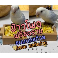 Freeze Dried Corn ข้าวโพดฟรีซดราย ขนมนกแก้ว กรอบ นกกัดง่าย 20g