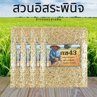 !!ปลอดสารพิษ!! จมูกข้าวกล้อง กข43 จมูกข้าวคนท้อง จมูกข้าวปลอดสาร แพ็คสูญญากาศ 1 กิโลกรัม (แพ็ค4) ?น้ำตาลต่ำ