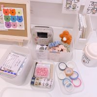 Winzige Ins Scrub Desktop Storage Box Cosmetic Organization Box Tape Stationery Organizer