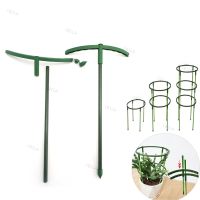 Plant Support Holder Pile Stand climb for Flowers grow Semicircle Greenhouses Arrangement Fixing Rod Orchard Garden Tool YB1TH