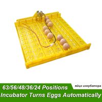 Incubator Motor Or Egg tray 56/48/36/24 Eggs Positions Motor size 220V OR 110V Optional Farm poultry Hatching device 1 Pcs / lot