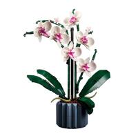 NEW LEGO Orchid Flower Bouquet 10311 Plant Decor Building Set for Adults; Build An Orchid Display Piece for The Home or Office