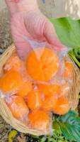 สบู่บีไวท์ สบู่ส้ม ORAANGE Whitening Soap สบู่ออเรนจ์ ไวท์เทนนิ่ง โซฟ ขนาด 80 กรัม