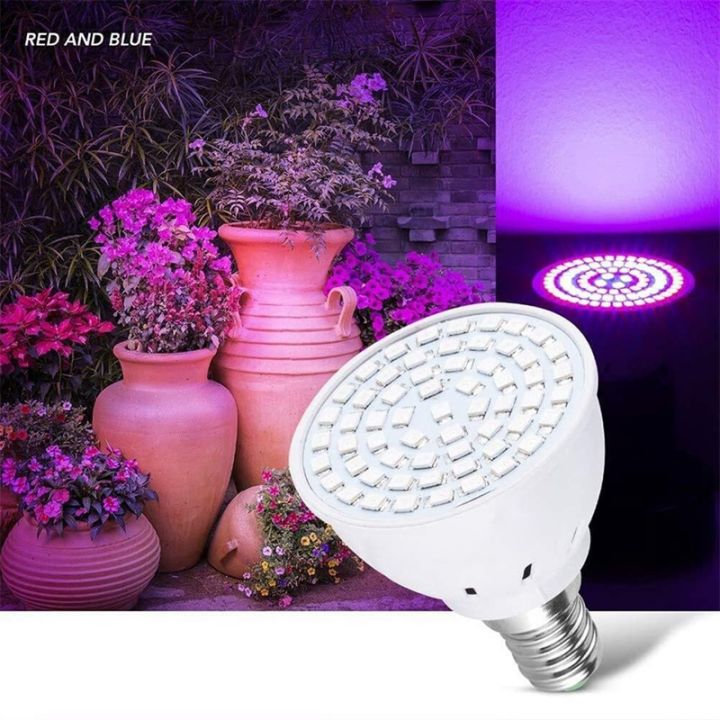grow-light-bulb-80-leds-full-spectrum-plant-lights-220v-for-indoor-plants-succulents-flowers-greenhouse-hydroponic