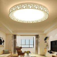 ZZOOI Plafonnier Lamparas Colgantes Para Techo LED Ceiling Light Bird Nest Round Lamp Modern Fixtures Bedroom Plafonnier Salon