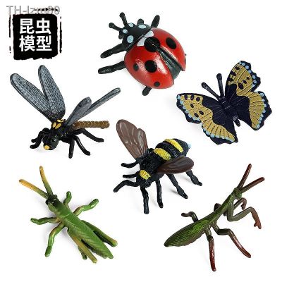 🎁 ของขวัญ จำลองสัตว์ป่าแมลงชุดมินิสวดมนต์ตั๊กแตนตั๊กแตนผีเสื้อเจ็ดดาวเต่าทองแมลงปอผึ้งของเล่น