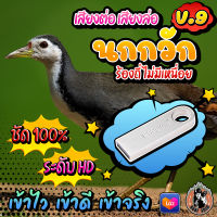 เสียงต่อนกกวัก V.9 เสียงล่อไก่นา V.9 แฟลชไดร์ฟเสียงนกกวัก V.9 ชัด เสียงใส ไม่มีโฆษณาแทรก ไม่มีเสียงรบกวน พร้อมส่ง! มีเก็บเงินปลายทาง!!!