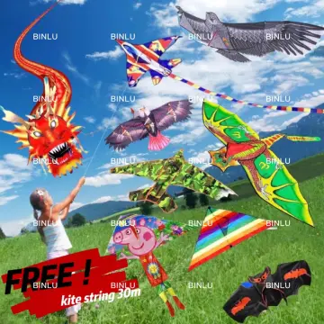 Outdoor Kite Reel ABS Material Flying Wheel For Adults Eagle Kite kiteboa_ff