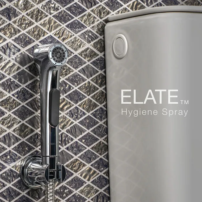 KOHLER Toilet Spray Elate Hygiene K97258XCP / KOHLER Toilet Spray
