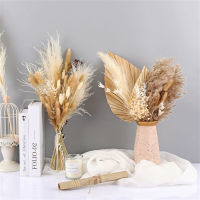 【cw】1 Set Dried Flower Natural Pampas Grass Home Decor Wedding Bouquet Phragmites Reed Plants Christmas Decoration ！