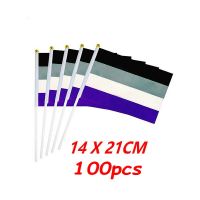 ZXZ 100pcs a pride hand Flag 14*21cm Ace Community Aity a pride Hand Flag with plastic flagpole