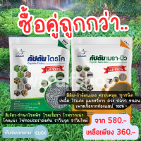 ซื้อคู่ถูกกว่า ของเเท้100% ไตรโคเดอร์มา เเละ กัปตันเมธาบิว มีส่วนผสมของสารจับใบกัปตันไตรโค (ขนาด 500กรัม) ปลอดภัย