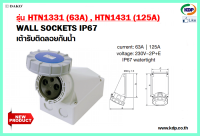 พาวเวอร์ปลั๊กเต้ารับติดลอยกันน้ำ DAKO รุ่นHTN1331(63A),HTN1431(125A)2P+E230V Plug pecs (KDP) พาวเวอร์ปลั๊ก เต้ารับติดลอยกันน้ำ ปลั๊กไฟ อะแดปเตอร์