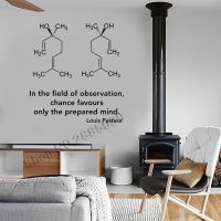 [COD] Chemistry Pattern Stickers Mural Pasteur Inspirational Quotes And Enantiomers Vinyl Wall Decals LC697