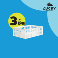 LUCKY HOME  ตะกร้าพลาสติกใส่ของ DT-25 แพ็ค 3 ชิ้น ขนาด( กว้าง x ยาว x สูง ): 24 x 32.5 x 13.3 cm