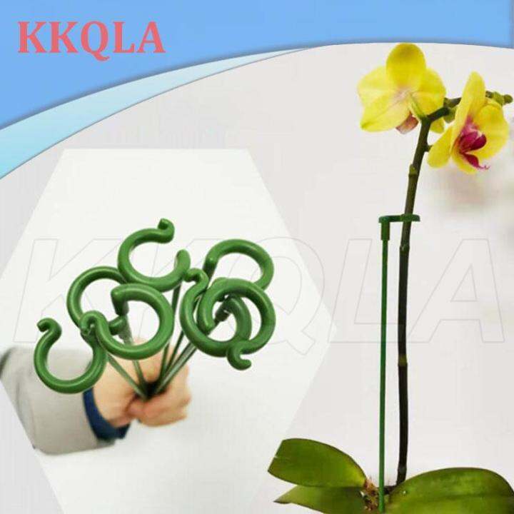 qkkqla-5pcs-plastic-plant-supports-flower-orchid-stand-holder-bracket-reusable-protection-fixing-tools-gardening-supplies