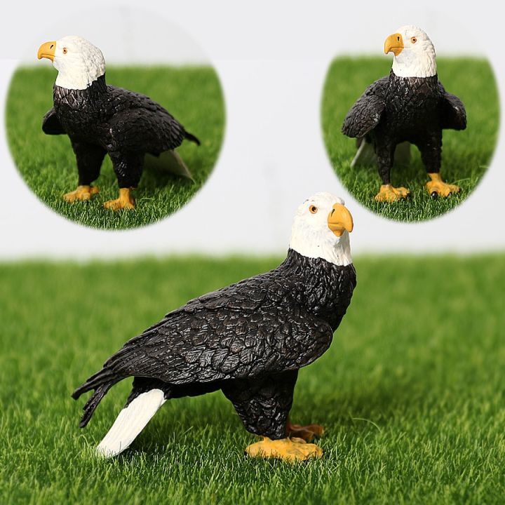 zzooi-realistic-plastic-birds-of-prey-figurines-bald-eagle-falcon-hawk-owl-vulture-animal-models-toy-figures-educational-set