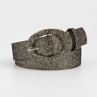 Women Cummerbund Ceinture Belt Fashion Casual Femmel Glitter Gold High Quality Female Belt for Women Silver Pu Waist Belt AL103