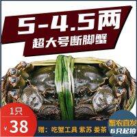 [COD] Extra large residual crabs Gucheng Lake live missing legs broken 5-4.5 two whole male free shipping