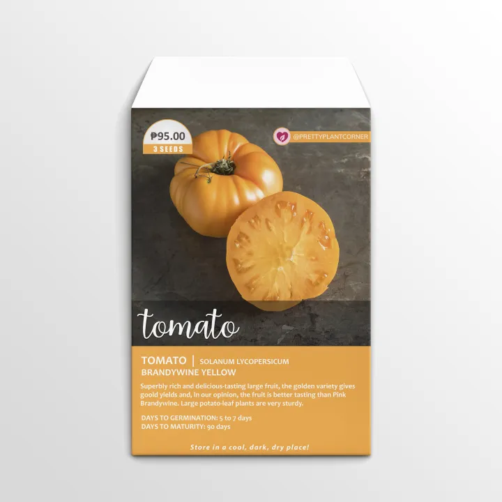 Brandywine Yellow Tomato Seeds Lazada PH