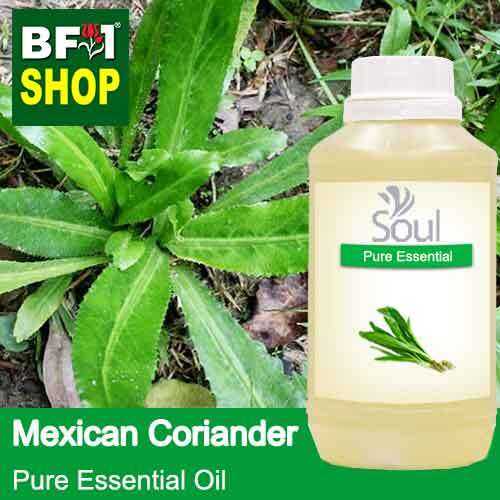 Pure Essential Oil (EO) Mexican Coriander ( Eryngium Foetidum ) Essential Oil 500ml Lazada