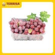 HCM Nho Candy Snaps Mỹ Hộp 450 g - TERRISA - Giao nhanh