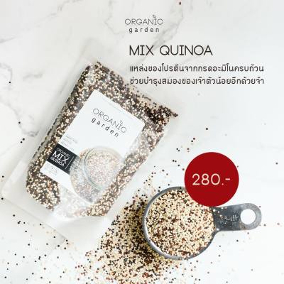 Organic Garden ควินัวผสม ออร์แกนิค Mix Quinoa (250gm)